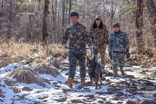 Chaoyang-Louzishan-Forest-Reserve-Patrol
