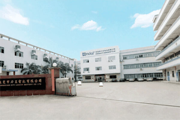 Guangdong Liwang new energy co.,LTD