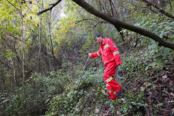 Songling-Forestry-Bureau-Patrol