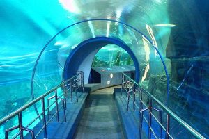 underwater-world