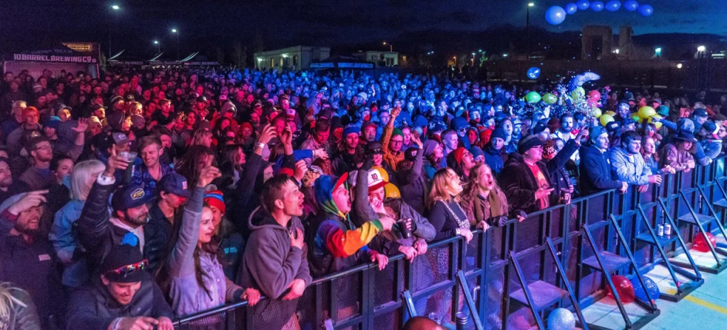 Concert Security