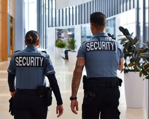 Enhanced Security Monitoring and Customizable Patrol Routes